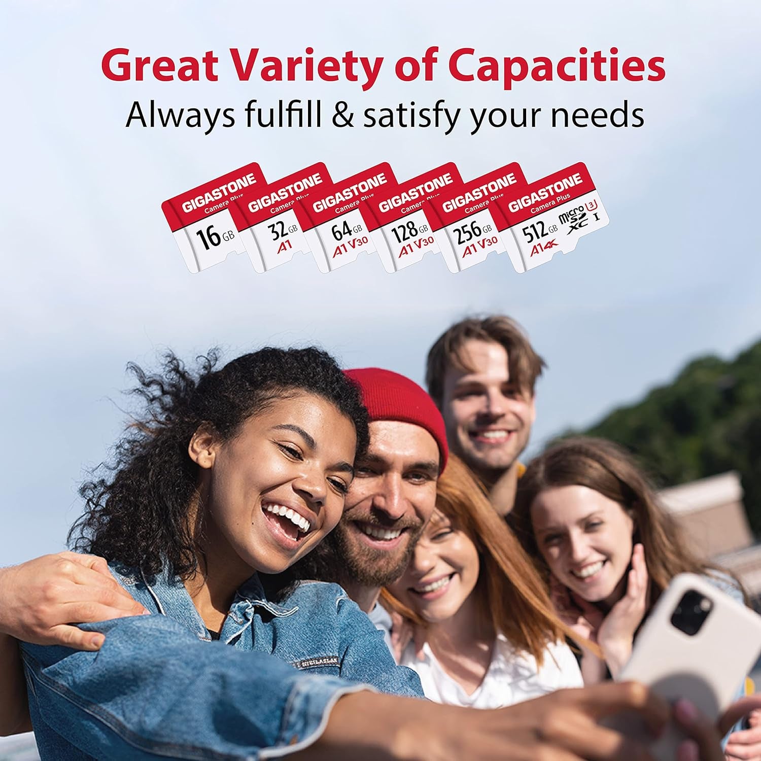 256GB Camera plus Series Memory Card, Read Speed up to 100Mb/S. Ideal for Full HD Video Gopro Drone Android Camera, A1 Micro SDXC Card with Mini Case and SD Adapter.